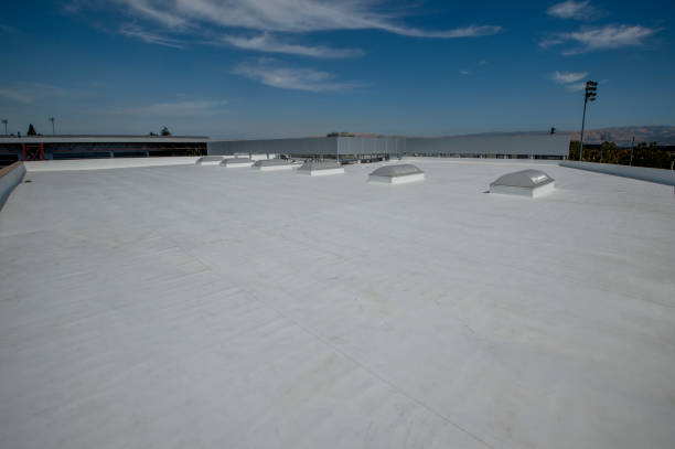 Best Roof Moss and Algae Removal  in Dickinson, TX