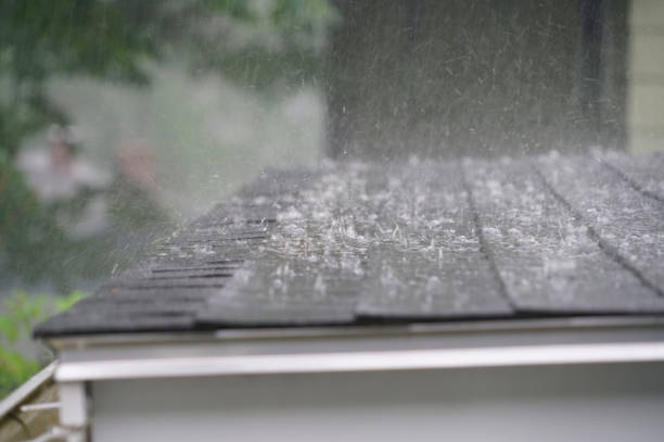 Best Gutter Installation and Repair  in Dickinson, TX