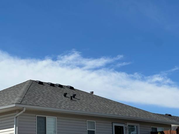Best Roof Insulation Installation  in Dickinson, TX